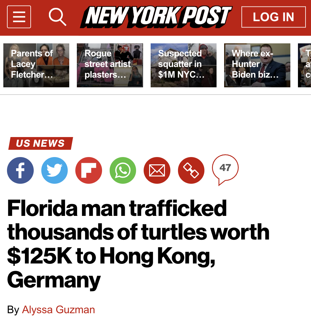 new york post - Q New York Post Log In Parents of Lacey Fletcher... Rogue street artist plasters... Suspected squatter in $1M Nyc... Where ex Hunter Biden biz... Us News f 47 Florida man trafficked thousands of turtles worth $ to Hong Kong, Germany By Aly